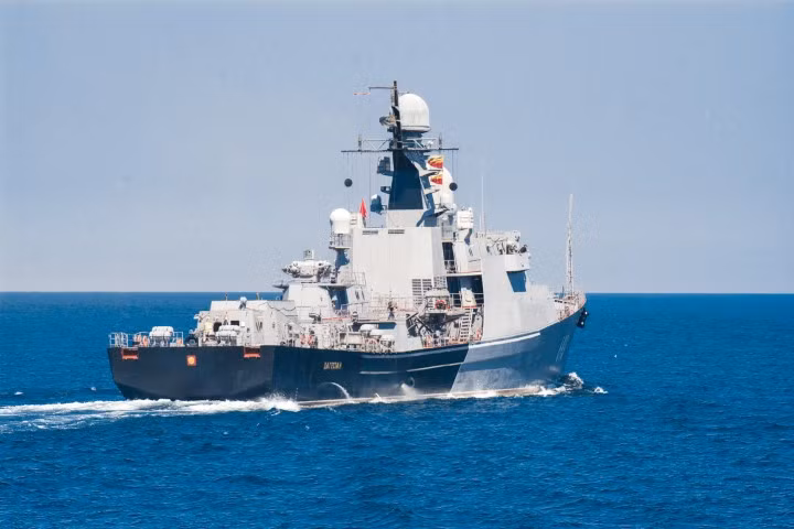 Cụ thể, với việc được trang bị tới 16 giếng phóng tên lửa thẳng đứng ở một vài phiên bản đặc biệt, các tàu Gepard có sức chiến đấu gần như ngang ngửa với khinh hạm Đô đốc Grigorovich - vốn chỉ có trang bị 8 ống phóng.