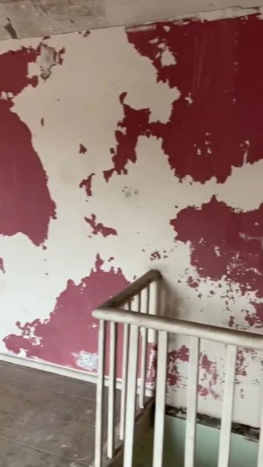 Soc: Can nha 2 tang co vuon rong bao quanh duoc rao ban 3,2 trieu dong-Hinh-8