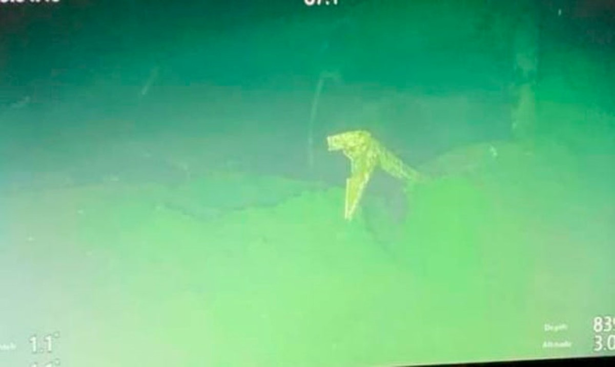 Là một tàu ngầm 40 năm tuổi, KRI Nanggala-402 của Indonesia rất có thể đã gặp vấn đề liên quan tới bảo dưỡng không đúng cách. Tuy nhiên, nhiều khả năng con tàu này sẽ không được trục vớt, và nguyên nhân của vụ việc sẽ mãi mãi không được làm sáng tỏ.