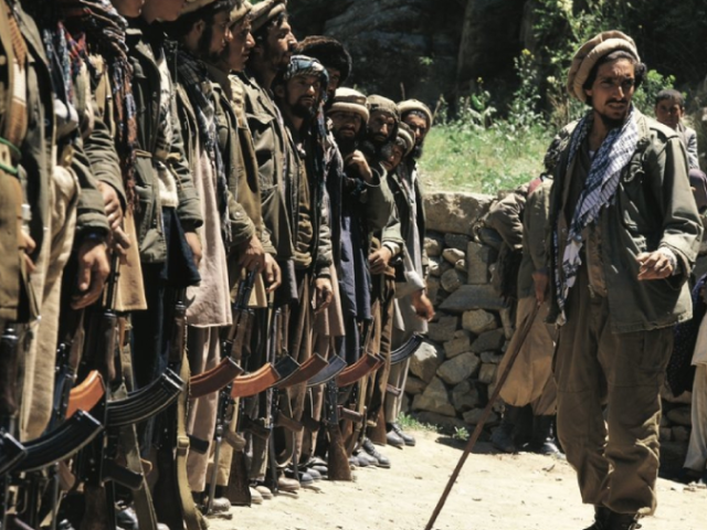 Nhiều nguồn tin cho biết ít nhất 12 chiếc cường kích cơ của Không quân Afghanistan cũ, đã đào thoát về vùng Panjshir, tiếp tục chiến đấu chống lại sức tiến quân của Taliban.