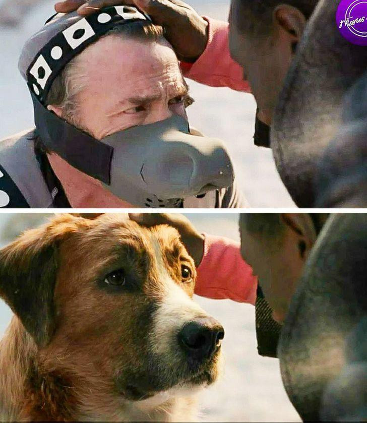 Sự thật ngỡ ngàng ở hậu trường các cảnh quay hoành tráng - Hình 4 Su that ngo ngang o hau truong cac canh quay hoanh trang-Hinh-4