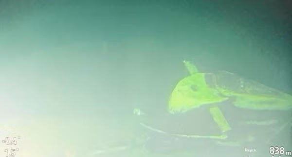 Đã không có một phép màu nào xảy ra, cơ quan chức năng Indonesia đã công bố, toàn thể 53 binh lính trên tàu đã thiệt mạng, trong đó bao gồm 49 thủy thủ, một thuyền trưởng và ba sĩ quan chuyên trách vũ khí.