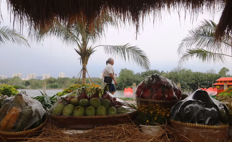 Cảnh quê với hàng dừa bên dòng sông, cùng đặc sản vùng sông nước miền Tây được tái hiện tại đường hoa xuân Phú Mỹ Hưng 2017.