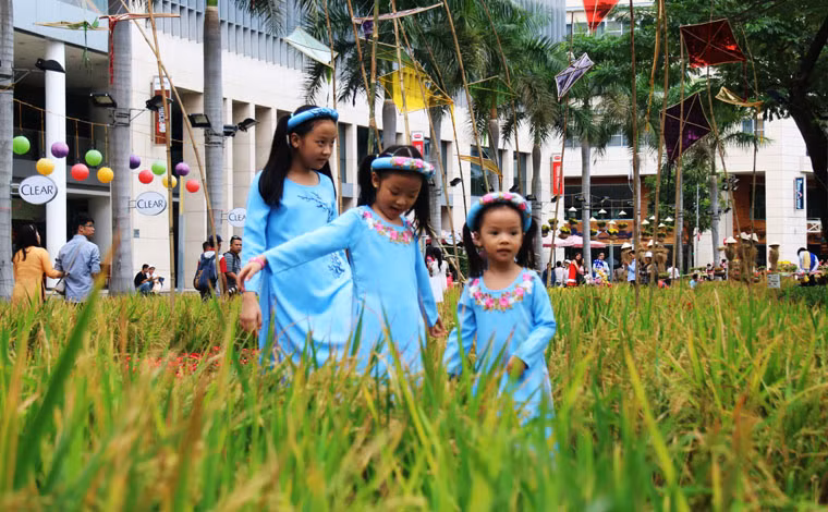 Các em nhỏ cũng được dịp thả mình trên cánh đồng lúa giữa khu đô thị hiện đại bật nhất Sài Thành.