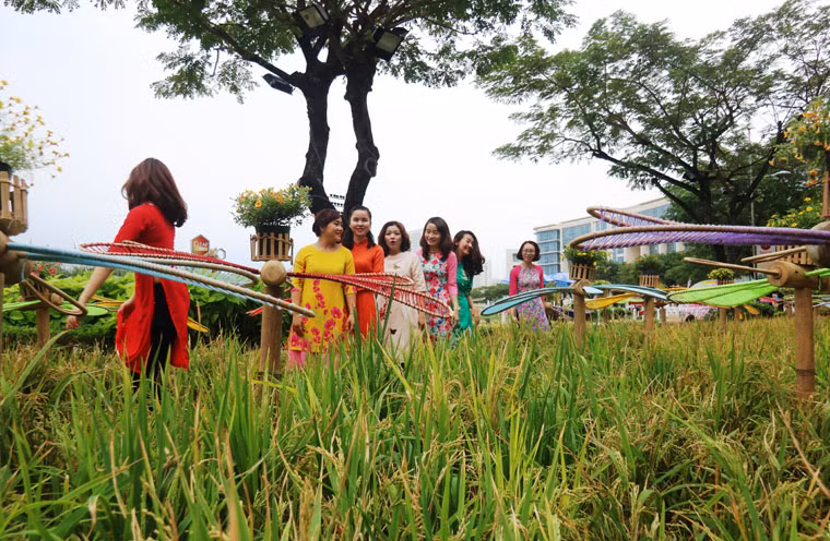 Tiểu cảnh cánh đồng lúa bạt ngàn với sự thanh bình của vùng sông nước miền Tây Nam Bộ khiến du khách vô cùng thích thú.