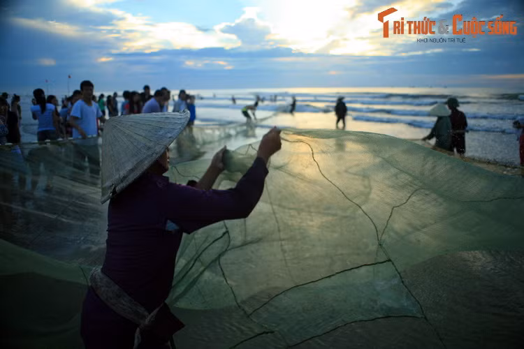 Người nữ ngư dân kéo mẻ lưới buổi sáng sớm ở bờ biển của thành phố Sầm Sơn, tỉnh Thanh Hóa.