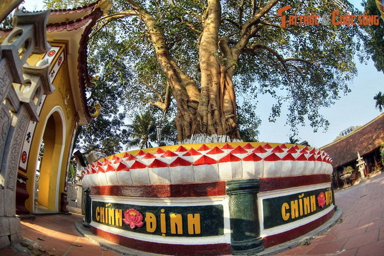 Chùa từng đón nhiều nguyên thủ quốc gia tới thăm như Tổng thống Ấn Độ Rajendra Prasad (1959), Tổng thống Ấn Độ Pratibha Patil (2008), Tổng thống LB Nga Dmitry Medvedev (2010). Phía sau chùa có cây bồ đề do Tổng thống Ấn Độ Rajendra Prasad tặng trong chuyến thăm năm 1959.