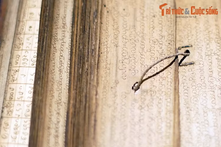 Chữ viết trên sách lá cọ thường là kiểu chữ tròn trịa, gồm các hệ thống chữ phổ biến ở miền Nam Ấn Độ và Đông Nam Á như Devanagari, Nandinagari, Kannada, Telugu, Lontara, Java, Bali, Odia, Miến Điện, Tamil, Khmer...