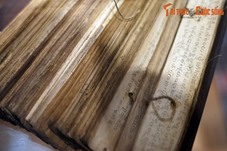 Ngày nay, sách lá cọ được nhìn nhận như một di sản quý trong kho tàng văn minh nhân loại. Nhiều chính phủ trong khu vực đang nỗ lực bảo tồn những bản thảo đặc biệt mà người xưa để lại cho hậu thế trên những tấm lá cọ...