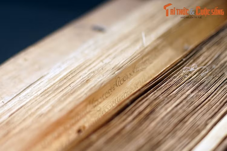 Những cuốn sách lá cọ lâu đời nhất đã được tìm thấy ở những vùng có khí hậu lạnh, khô, thường là ở các vùng núi cao của Ấn Độ, Nepal, Tây Tạng và Trung Á. Nhiều bản thảo trong số đó có từ hơn 1.000 năm trước.