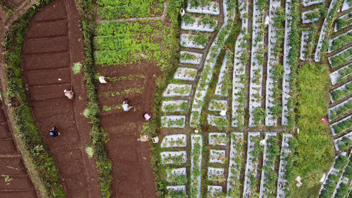 So huu chung cu, nha dat o cac nuoc ra sao?-Hinh-2