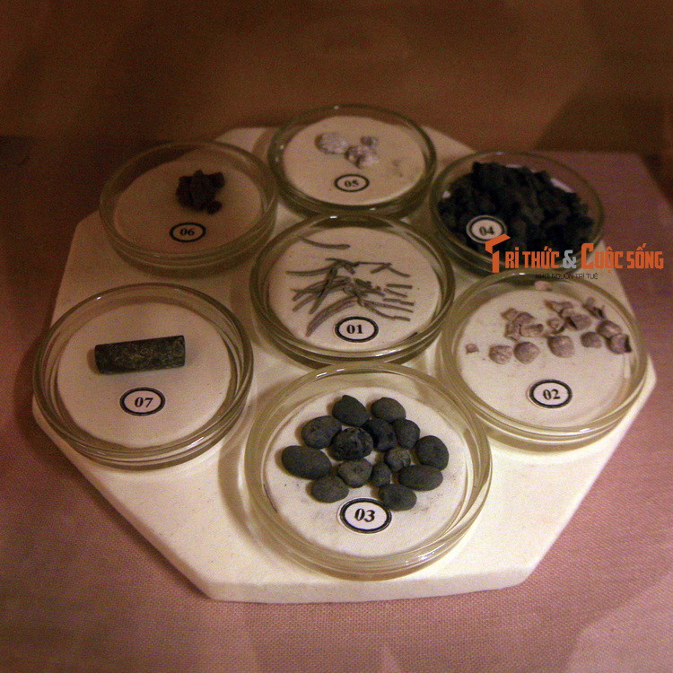 Các hiện vật như xương cá, hạt cây, san hô,hạt chuổi, than tro, thổ hoàng... tiết lộ nhiều khía cạnh khác nhau về thói quen sinh hoạt, ăn uống của các cư dân cổ ở khu vực Nam Trung Bộ.