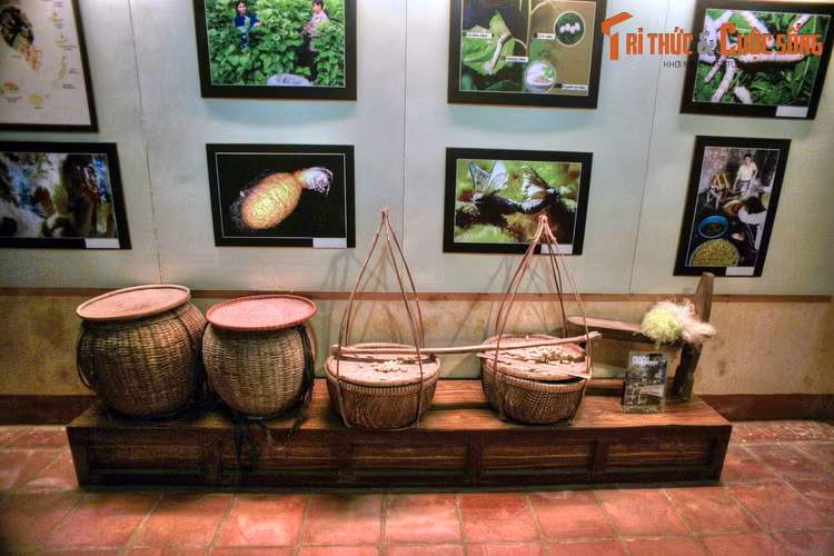 Có thể nói, các hiện vật trong Bảo tàng văn hóa dân gian Hội An đã thể hiện cô đọng các giá trị thuộc văn hoá phi vật thể, giới thiêụ về bề dày truyền thống văn hoá, sự sáng tạo, những đóng góp của các thế hệ cư dân địa phương trong quá trình xây dựng phát triển vùng đất Hội An.