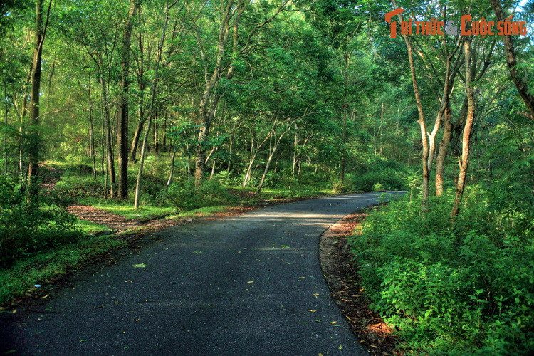 Con đường chạy xuyên qua khu rừng đặc dụng bao phủ núi Trường Lệ, một khu vực đa dạng về sinh học.