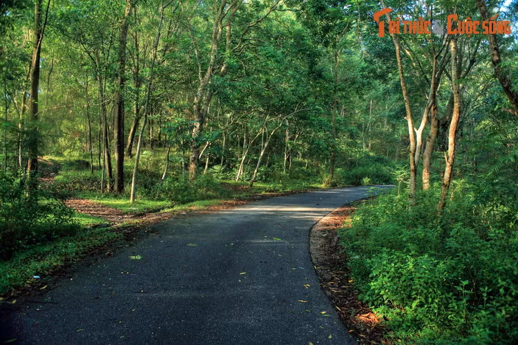 Con đường chạy xuyên qua khu rừng đặc dụng bao phủ núi Trường Lệ, một khu vực đa dạng về sinh học.