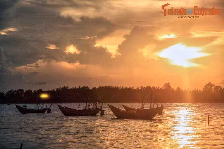 Mặt biển thấm đẫm hoàng hôn.