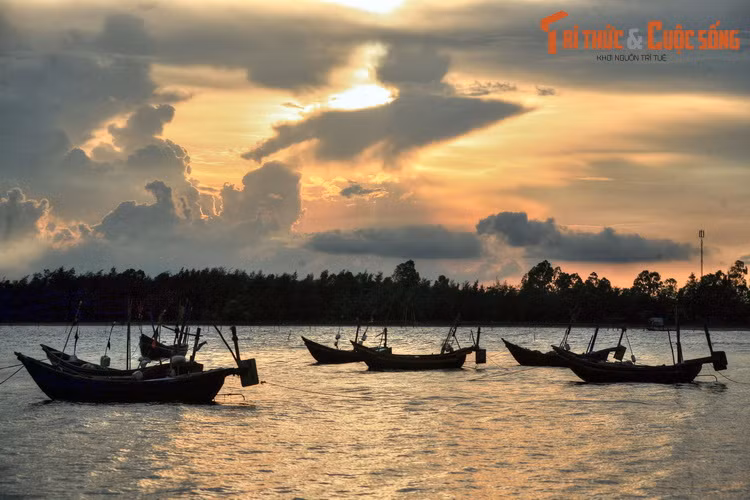 Những con thuyền đánh cá neo đậu trên mặt biển lặng sóng.