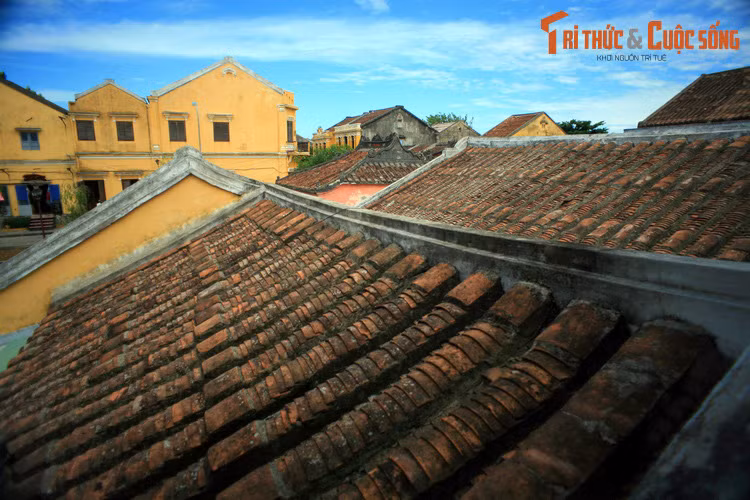 Mái ngói rêu phong của những ngôi nhà cổ ở đô thị trăm tuổi.