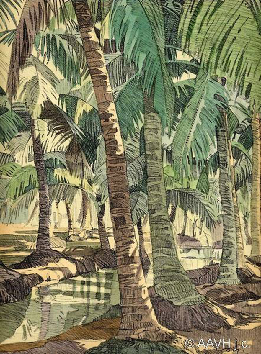 Vườn dừa ở Phú Lâm, Đồng Nai.