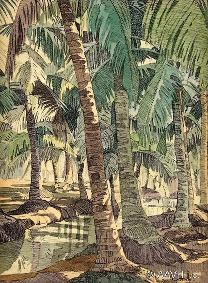 Vườn dừa ở Phú Lâm, Đồng Nai.