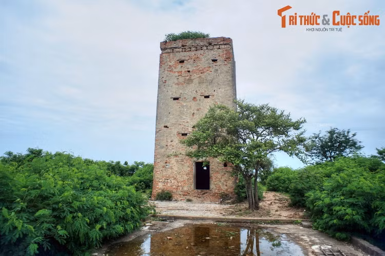 Theo lời kể được ghi lại, khi nàng Mộng Cầm còn là một thiếu nữ đang theo học trường Pline Exercices ở Phan Thiết, nhờ có khiếu làm văn thơ hay nên tên nàng thường được xuất hiện trên các trên các mặt báo thời bấy giờ.