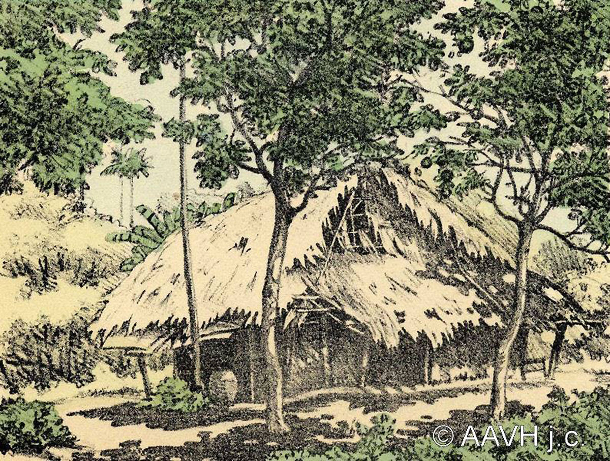 Một ngôi nhà lá nằm giữa vườn cây xanh tốt.