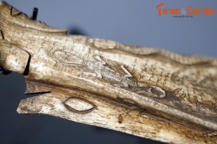 Trong cái tên porhalaan, từ “hala” có nguồn gốc từ tiếng Phạn “kala”, nghĩa là con bọ cạp.