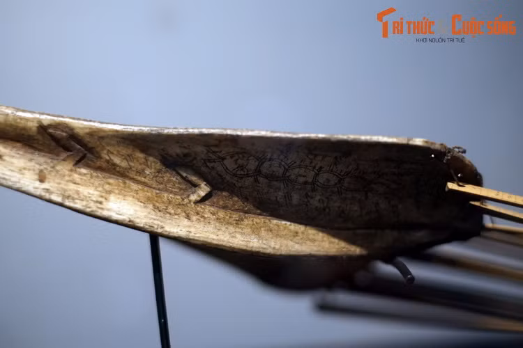 Theo các nhà nghiên cứu nhân chủng học, tộc người Batak Toba thuộc nhóm chủng tộc Batak, có tổ tiên là các di dân từ Đài Loan và Philippines khoảng 2.500 năm trước.