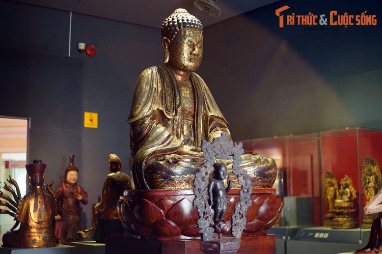 Buổi đầu, Bảo tàng Pacha Da Lagos chỉ có 2.893 cổ vật, chủ yếu là bộ sưu tập của Holbé. Ngày nay, Bảo tàng Lịch sử TP. HCM sở hữu trên 30.000 hiện vật, về quy mô chỉ đứng sau Bảo tàng Lịch sử Quốc gia ở Hà Nội.