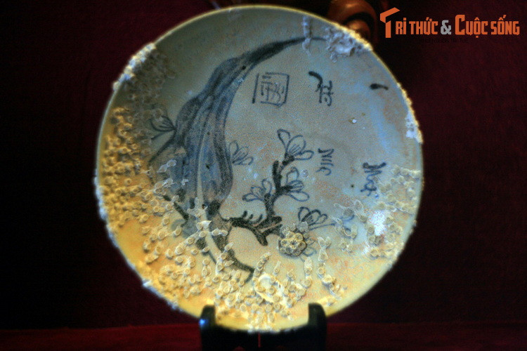 Đĩa vẽ hoa lá thời Khang Hy, một hiện vật khai quật từ tàu cổ Hòn Cau, được trưng bày tại TP Vũng Tàu. Tàu cổ Hòn Cau là con tàu đầu tiên được phát hiện và khai quật trong những năm 1990–1992 ở vùng biển gần kề đảo Hòn Cau (Bà Rịa – Vũng Tàu). Tàu được làm bằng gỗ, bị vùi sâu trong lớp cát từ 0,6–1 mét, ở độ sâu 40 mét so với mực nước biển.