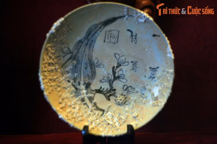 Đĩa vẽ hoa lá thời Khang Hy, một hiện vật khai quật từ tàu cổ Hòn Cau, được trưng bày tại TP Vũng Tàu. Tàu cổ Hòn Cau là con tàu đầu tiên được phát hiện và khai quật trong những năm 1990–1992 ở vùng biển gần kề đảo Hòn Cau (Bà Rịa – Vũng Tàu). Tàu được làm bằng gỗ, bị vùi sâu trong lớp cát từ 0,6–1 mét, ở độ sâu 40 mét so với mực nước biển.