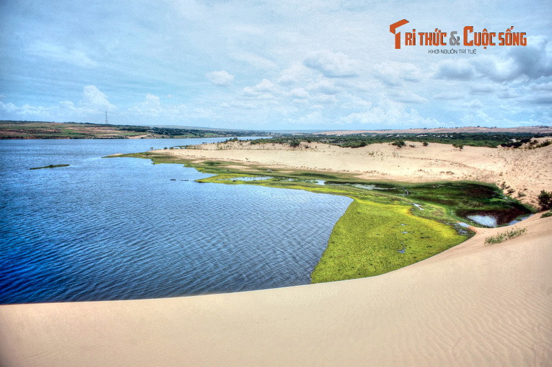 Nằm ở huyện Bắc Bình, hồ Bàu Trắng là hồ nước có 1-0-2 Việt Nam. Hồ nước rộng lớn và xanh ngắt nằm bên những cồn cát trải dài ngút tầm mắt, gây ấn tượng đặc biệt cho những ai có cơ hội chiêm ngưỡng.