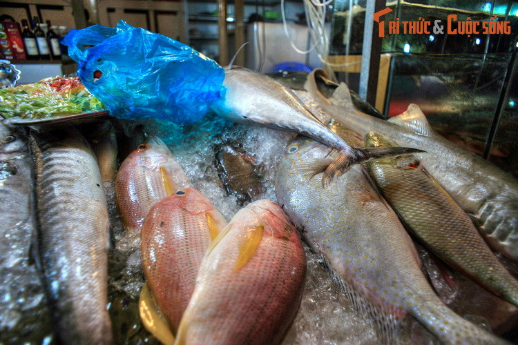 Bên cạnh vẻ đẹp thiên nhiên trời phú, Mũi Né còn thu hút du khách bởi những đặc trưng ẩm thực vùng biển vô cùng hấp dẫn và phong phú.