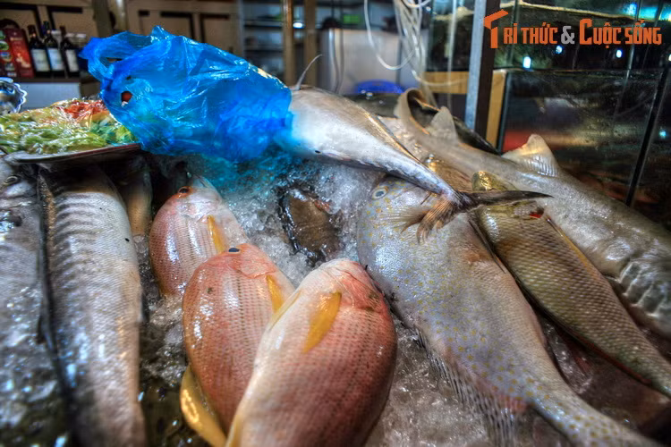 Bên cạnh vẻ đẹp thiên nhiên trời phú, Mũi Né còn thu hút du khách bởi những đặc trưng ẩm thực vùng biển vô cùng hấp dẫn và phong phú.