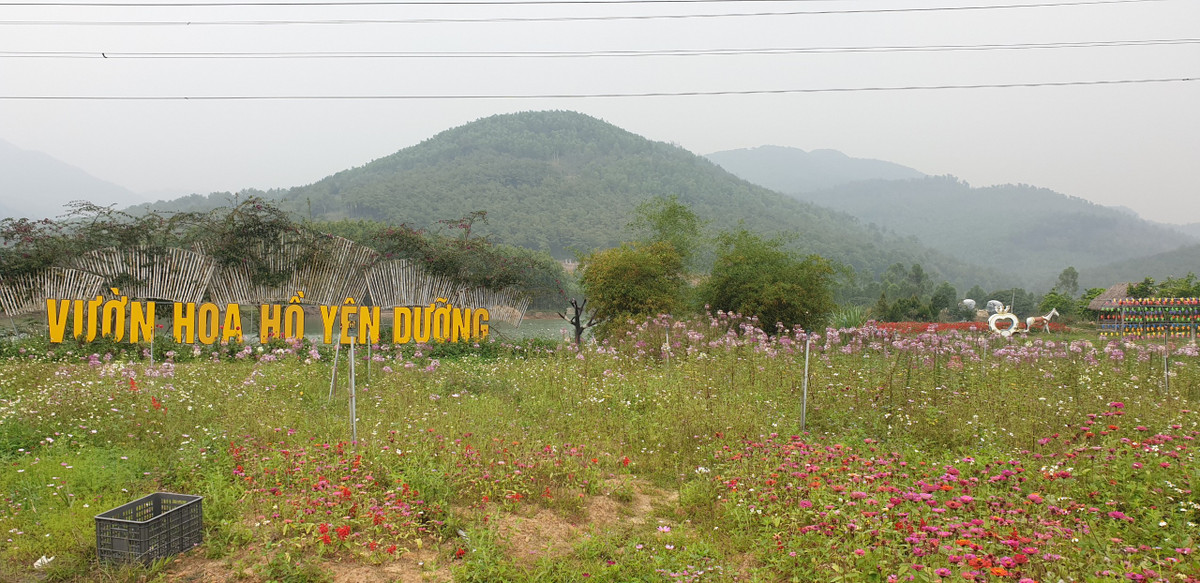 Biển tên vườn hoa hồ Yên Dưỡng được thiết kế nổi bật.