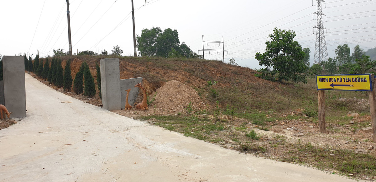 Ghi nhận của PV Báo Tri thức và Cuộc sống, diện tích đất trồng cây ăn quả rộng chừng 5ha sát cạnh hồ Yên Dưỡng (xã Hồng Thái Đông, thị xã Đông Triều, tỉnh Quảng Ninh) đã bị người dân "hô biến" thành vườn hoa, phim trường chụp ảnh du lịch không phép. Đường dẫn vào đất trồng cây cũng bị bê tông hóa, kiên cố.