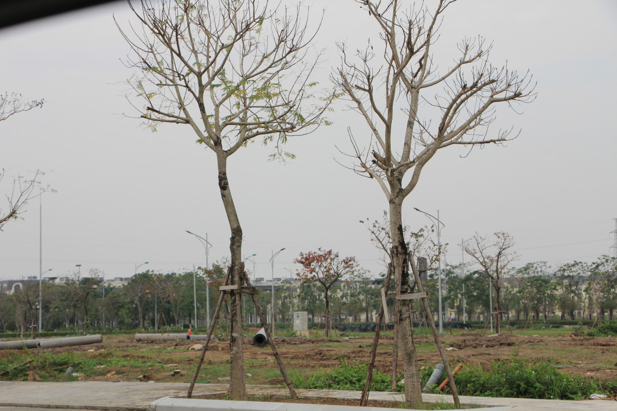 Có lẽ các cơ quan chức năng, người dân và khách hàng dự án khu đô thị mới An Lạc Green Symphony đang bị "che mắt" bởi biến báo "cấm quay phim, chụp ảnh" trái quy định pháp luật mà Công ty CP Tập đoàn An Lạc dựng lên. Đây có thể là một dấu hiệu thể hiện sự khuất tất, không minh bạch tại dự án..