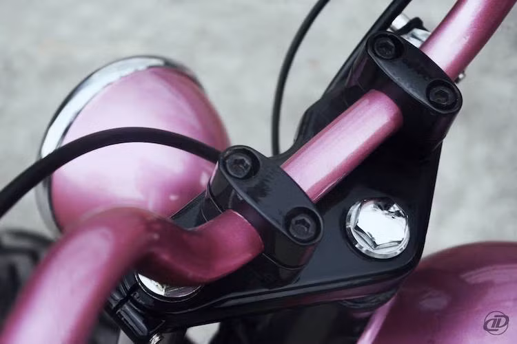 Đặc điểm khiến cho bản độ này trở nên nữ tính đó là màu sơn hồng ánh kim đẹp mắt được phủ lên toàn bộ các chi tiết trên thân xe, bao gồm cả cụm ghi-đông kể trên. Với chiều cao lớn và tay lái vòng về phía sau, ghi-đông này đem tới tư thế ngồi thẳng lưng cực thoải mái với ngay cả các cô gái.