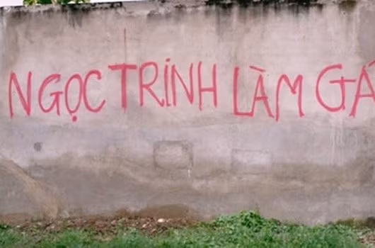 Loi hua khong bao gio thuc hien duoc cua Ngoc Trinh-Hinh-7