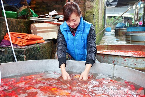 "Hiện tại giá cá chép vẫn không có gì thay đổi so với năm ngoái, trung bình 50.000-70.000 đồng/kg", một tiểu thương ở chợ cho biết.