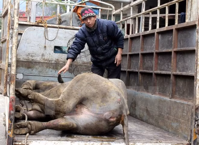 10 su kien nong ham hap du luan VN trong tuan (100)-Hinh-2