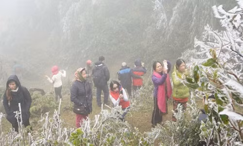 Ở các tỉnh Bắc Bộ và Bắc Trung Bộ từ 2 đến 7/2 xuất hiện rét đậm, rét hại trên diện rộng.