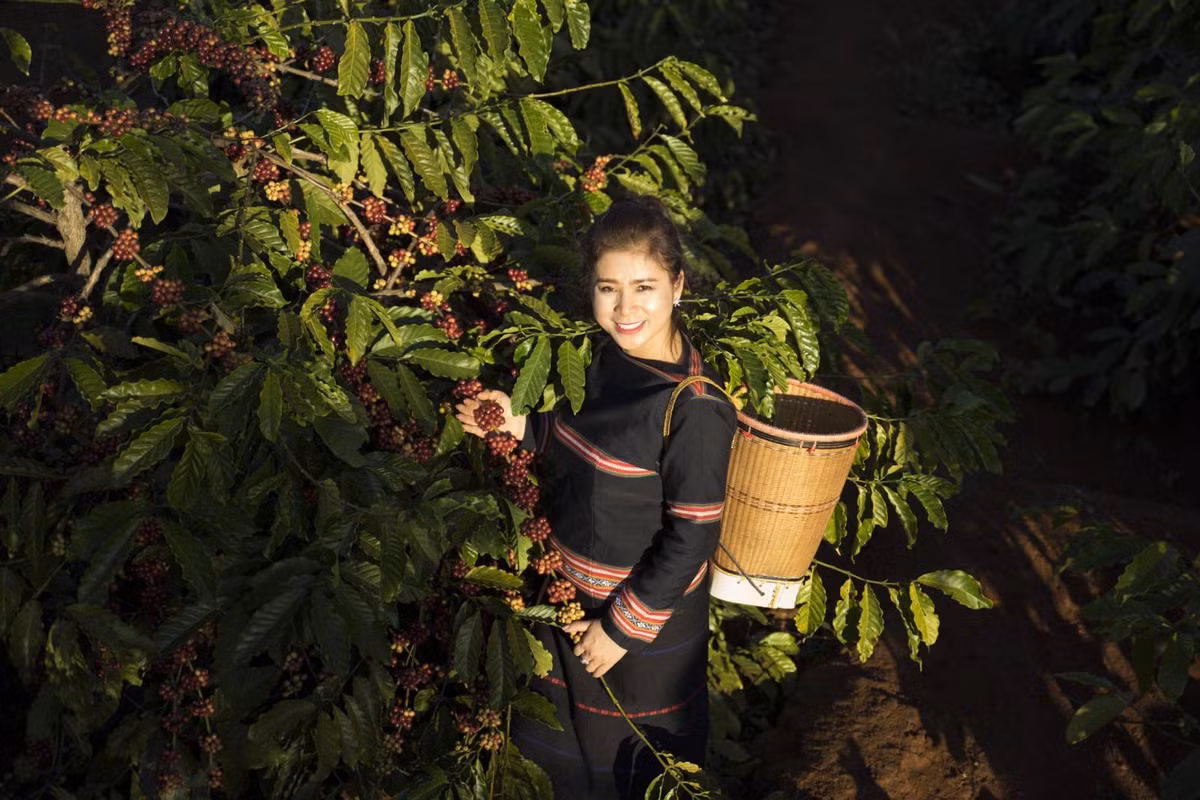 CEO Le Hoang Diep Thao: “Neu mot dieu duoc coi la cu, co le la… tinh yeu cua toi”-Hinh-2