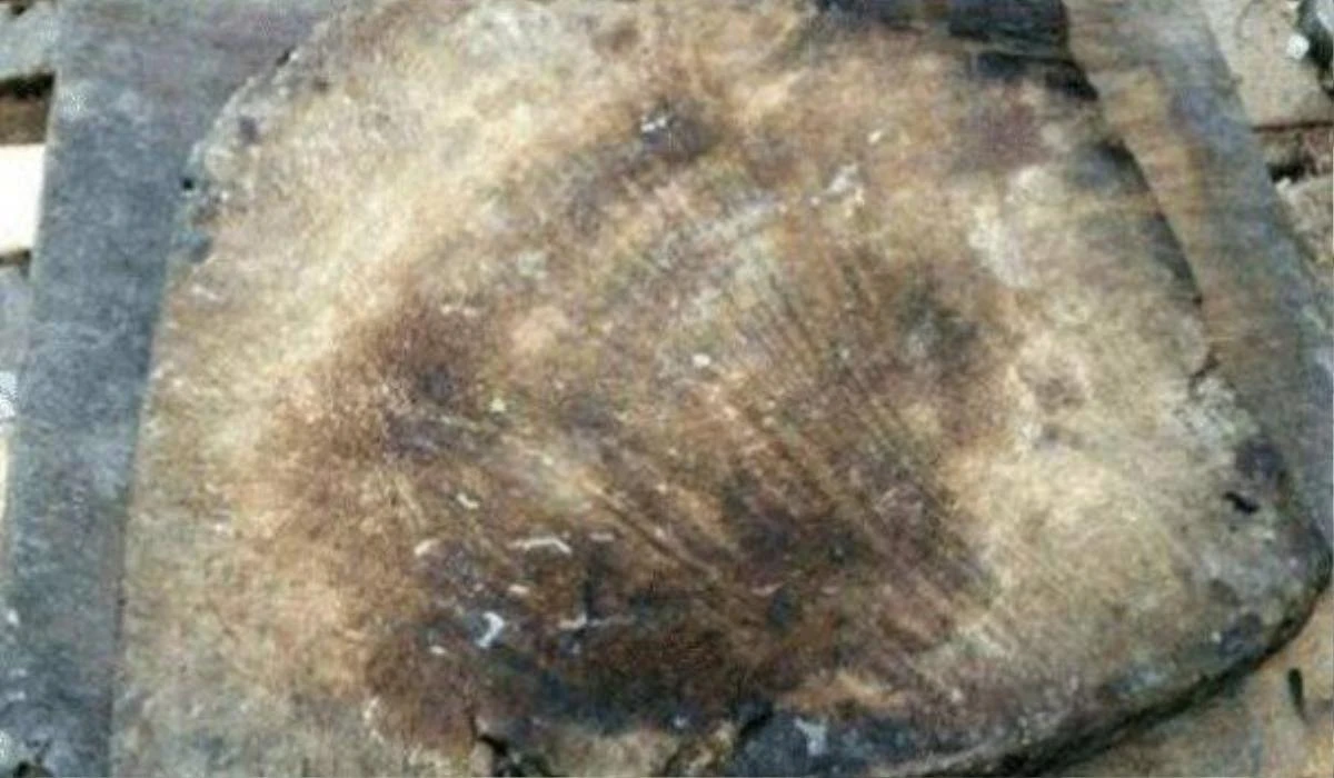 Câu chuyện kể về anh Zang ở Tứ Xuyên, Trung Quốc, người đã tìm thấy một chiếc thớt cũ khi sắp xếp di vật của ông nội. Chiếc thớt này được gia đình truyền từ đời này qua đời khác và chưa bao giờ bị hư hỏng. Để giải đáp thắc mắc về giá trị của chiếc thớt, anh Zang đã đem nó đi thẩm định. (Ảnh: Saostar)