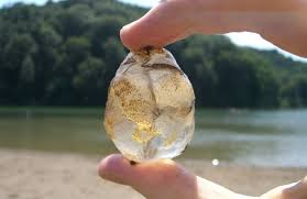 Bryozoans đóng vai trò quan trọng trong hệ sinh thái biển. Chúng giúp duy trì sự cân bằng của hệ sinh thái bằng cách lọc nước và loại bỏ các hạt thức ăn nhỏ, giúp giữ cho nước biển sạch sẽ. Ngoài ra, bryozoans còn cung cấp nơi cư trú cho nhiều loài động vật nhỏ khác như ốc biển, cua và giáp xác. Thuộc địa bryozoans cũng tạo ra các cấu trúc giống như rạn san hô, cung cấp môi trường sống cho nhiều loài sinh vật biển.(Ảnh: Earth Life)