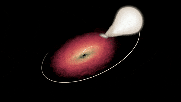 Các nhà khoa học tin rằng những biến đổi này có liên quan đến sự bất ổn trong đĩa accretion quanh lỗ đen. Khi lượng vật chất từ ngôi sao đồng hành bị hút vào tăng lên, đĩa accretion trở nên dày đặc và không ổn định, dẫn đến các vụ nổ tia X mạnh mẽ.(Ảnh: aFamily)