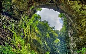 Nằm ở phía Bắc dãy núi Trường Sơn, vườn quốc gia Phong Nha - Kẻ Bàng là một trong những điểm đến thiên nhiên nổi bật nhất của Việt Nam. Được UNESCO công nhận là Di sản Thiên nhiên Thế giới vào năm 2003 và lần thứ hai vào năm 2015, Phong Nha - Kẻ Bàng không chỉ là một khu bảo tồn thiên nhiên mà còn là một kho báu địa chất và sinh thái.(Ảnh: Radio Free Asia)