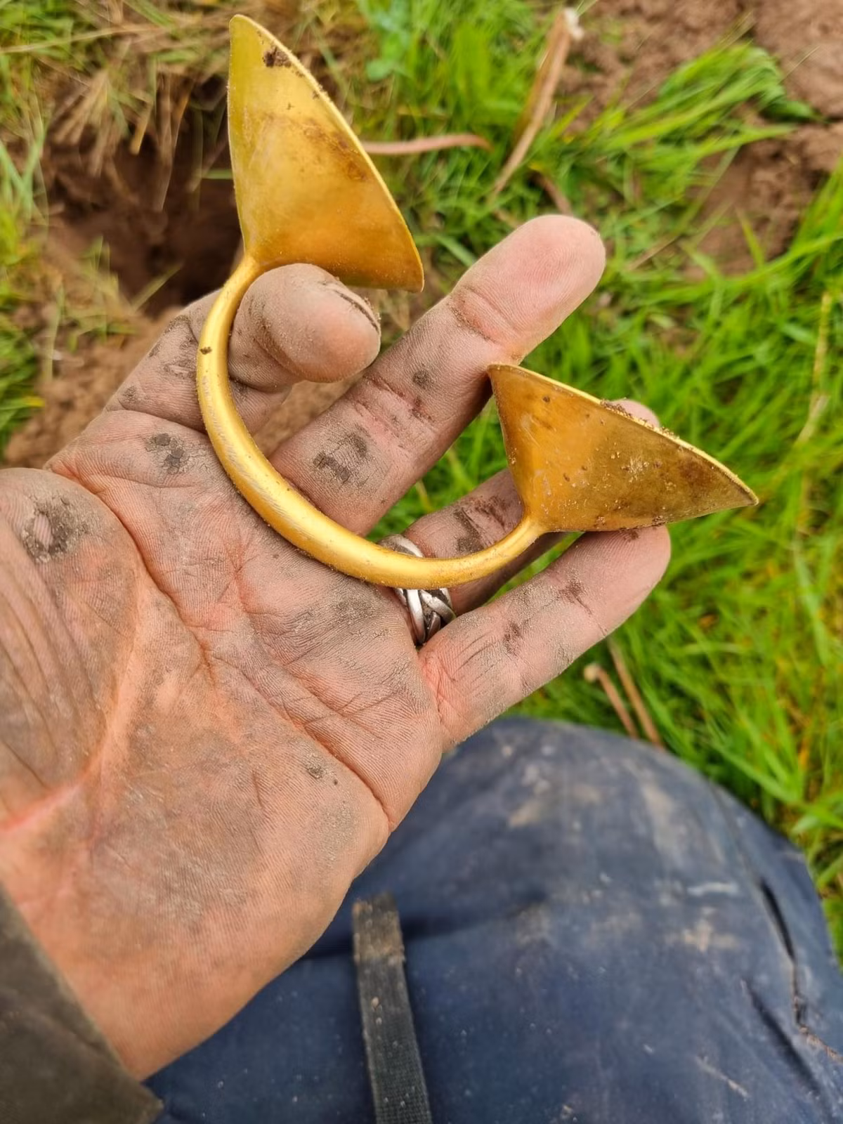 Sau khi đăng ảnh lên mạng, Jonathan nhận được nhiều phản hồi cho rằng ông đã tìm thấy một kho báu thực sự. Chiếc móc cài dài 13cm và nặng 110g, được cho là sẽ được một viện bảo tàng mua lại. Jonathan rất vui mừng và cho biết phát hiện này vượt xa những giấc mơ điên rồ nhất của ông.(Ảnh:BBC)