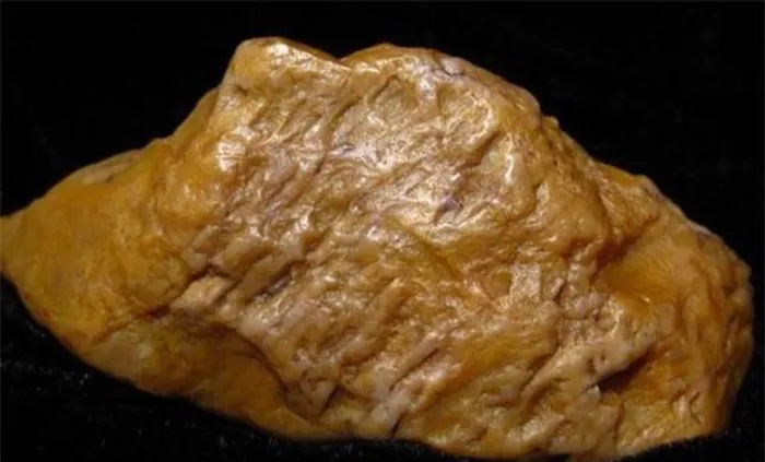 Ban đầu định bỏ đi, nhưng thấy nó đẹp mắt, ông quyết định mang về nhà. (Ảnh: DNVN)