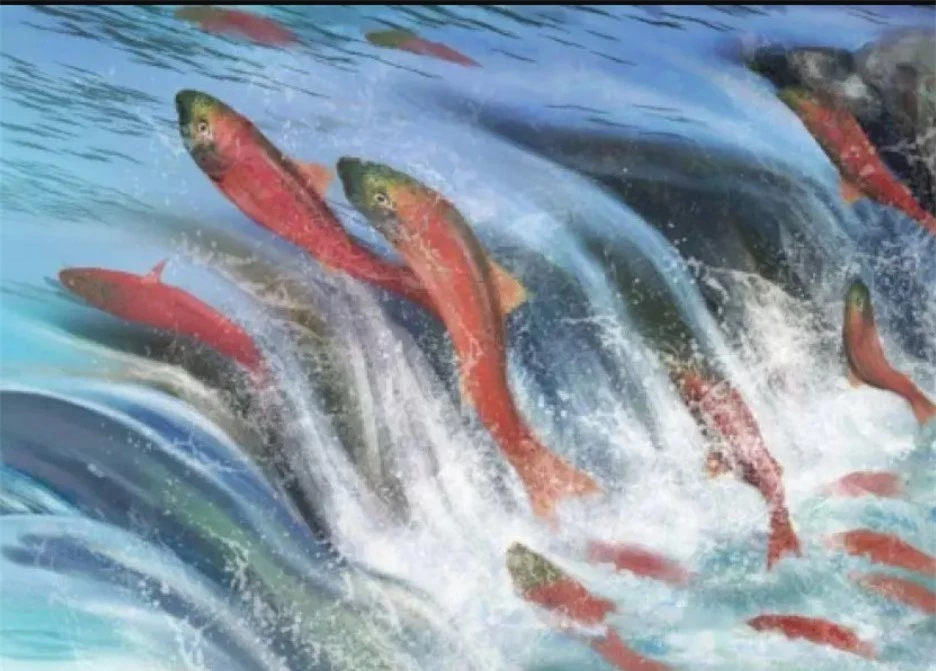 Nghiên cứu đã chỉ ra rằng cận huyết có thể dẫn đến hệ thống miễn dịch yếu hơn và dễ mắc các bệnh di truyền. Do đó, sự chọn lọc tự nhiên đã thúc đẩy các loài động vật phát triển những cơ chế để tránh cận huyết, nhằm đảm bảo sức khỏe và khả năng sống sót của thế hệ sau.(Ảnh: DNVN)